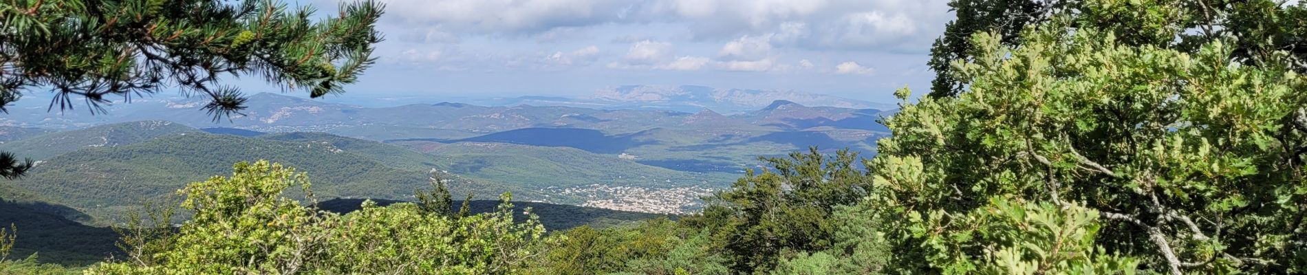 Tocht Stappen Plan-d'Aups-Sainte-Baume - La Ste Baume le paradis - Photo