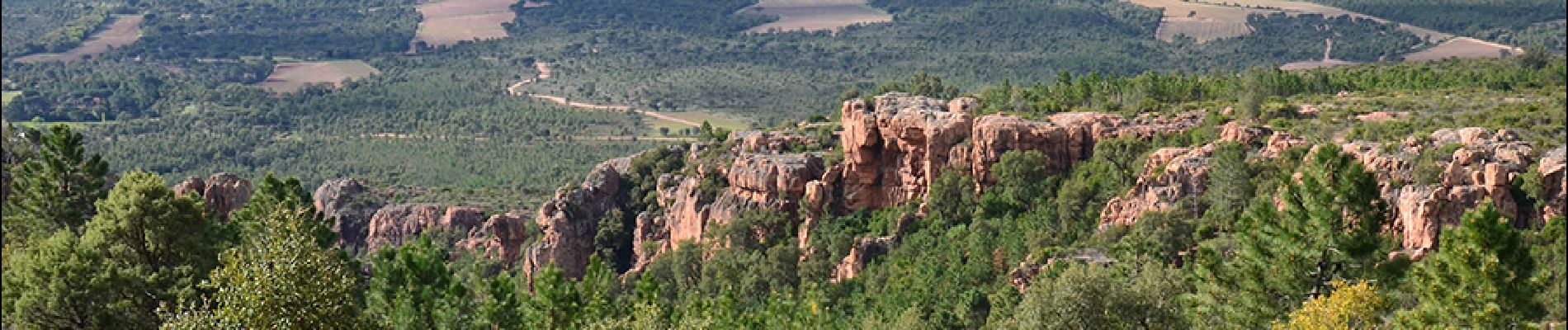 Tocht Stappen Le Muy - Pk sur D47 - Rocher de la Fille d'Isnard - Pas du Confessionnal - Pic Rébéquier - Pont de l'Endre - Château du Rouet - Photo