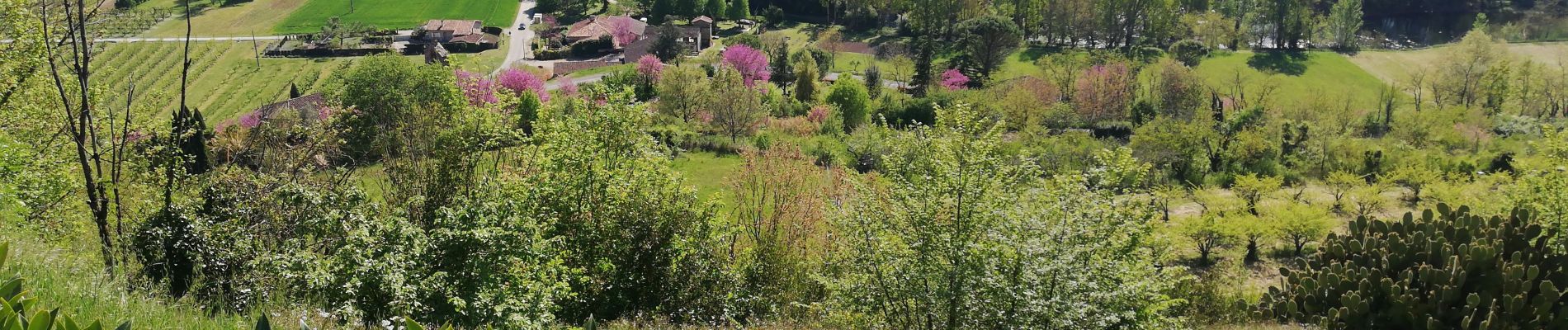 Tour Wandern Piquecos - Piquecos - Photo