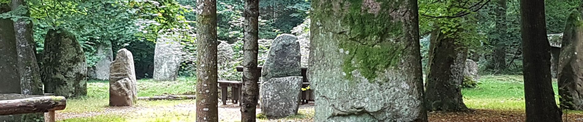 Randonnée Marche Rosheim - Eichwald - Tour du Heidenkopf - Photo