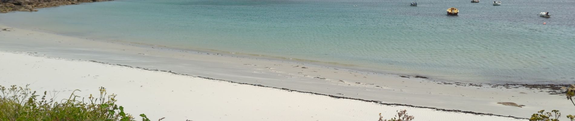 Randonnée Marche Île-de-Batz - Île de Batz  - Photo