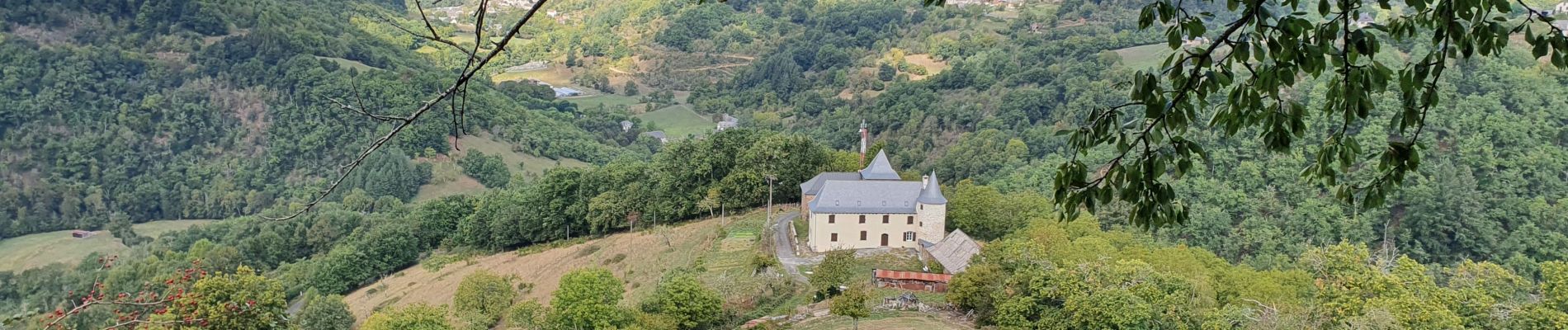 Randonnée Marche Saint-Hippolyte - Chateau et puech de Poujol - Photo