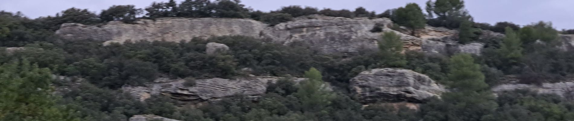 Tour Wandern Venasque - Combes et forêt de Vénasque  - Photo