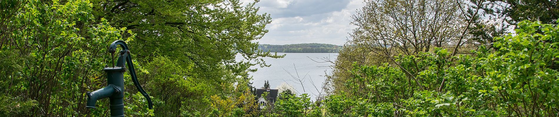 Tocht Te voet Malente - Große Holm-Route - Photo