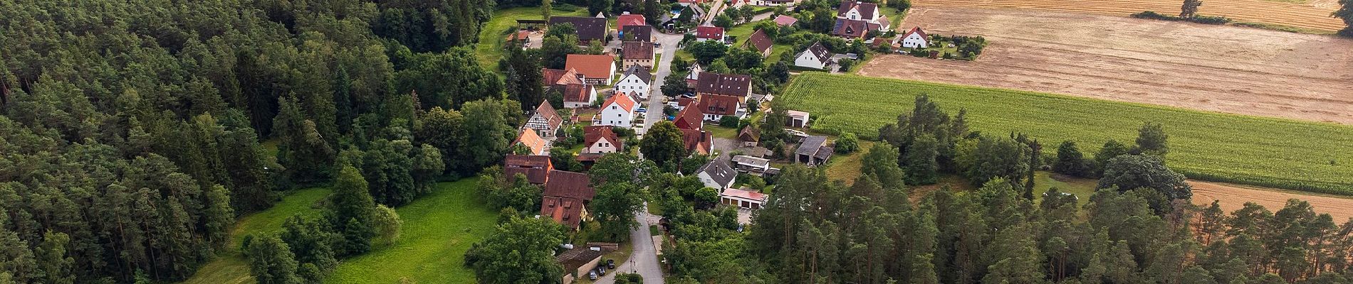 Tocht Te voet Schwanstetten - Zum Köhlerbetrieb - Photo