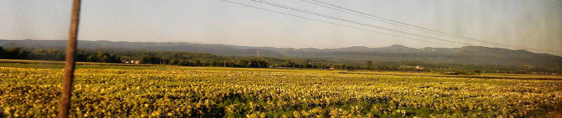 Tour Zu Fuß Unknown - Feričanci - Srednjak - Photo