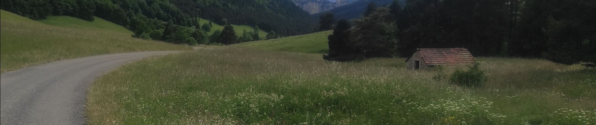 Trail Walking Châtillon-en-Diois - vallon de combau  - Photo