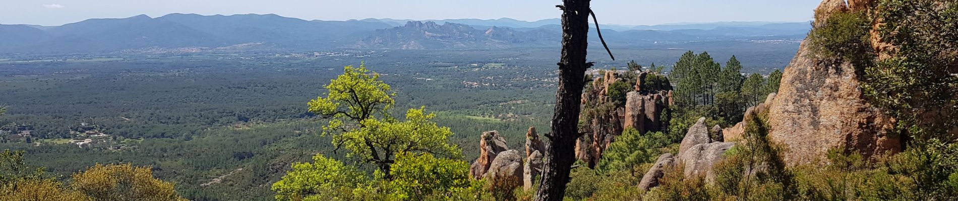 Tour Wandern Bagnols-en-Forêt - les gorges du Blavet par la pierre du coco et les meule - Photo