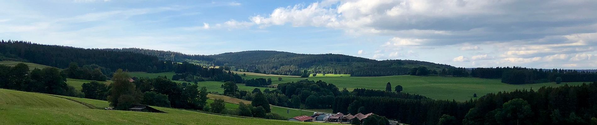 Tour Zu Fuß Grafenhausen - Rappenfelsensteig - Photo