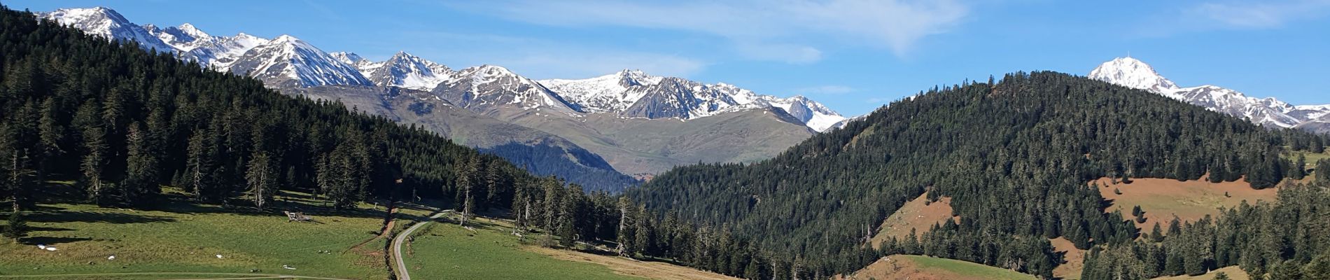 Randonnée Marche Beyrède-Jumet-Camous - Signal de Bassia via le Cap de Paou - Photo