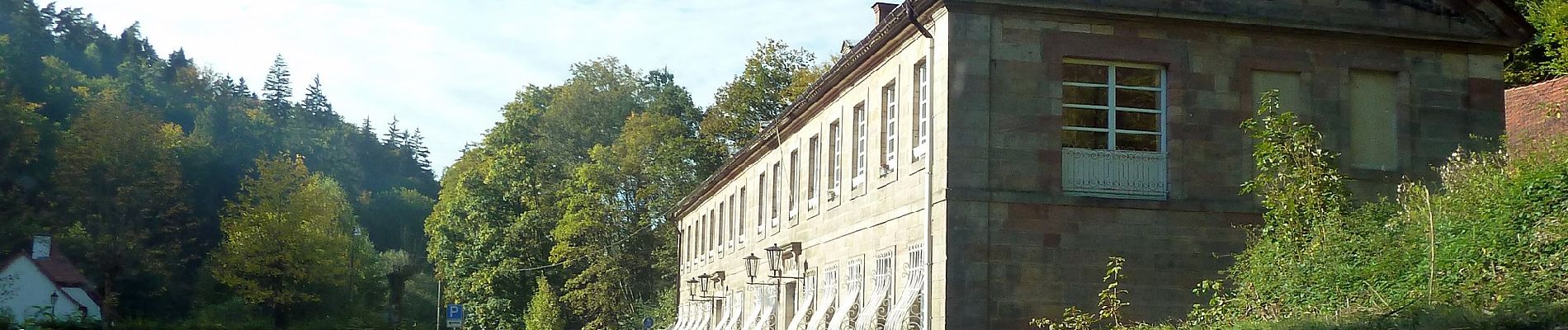 Tour Zu Fuß Trippstadt - Wanderweg Trippstadt 2 - Photo