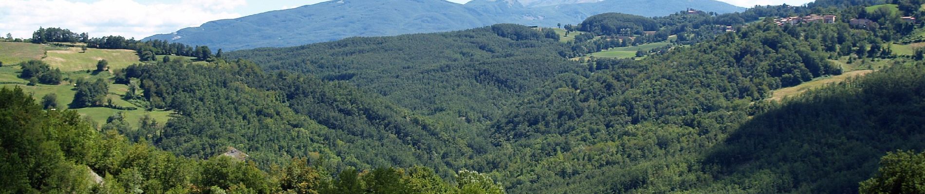 Randonnée A pied Canossa - Mulino di Chichino - Scalucchia - Spigone - Predella - Gazzolo - Cerreggio - Taviano - Photo