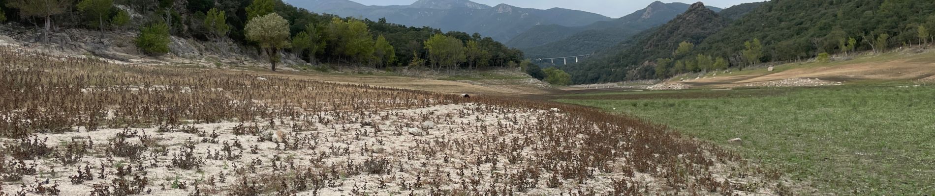 Percorso Marcia Maçanet de Cabrenys - Lac autre rive par la piste - Photo