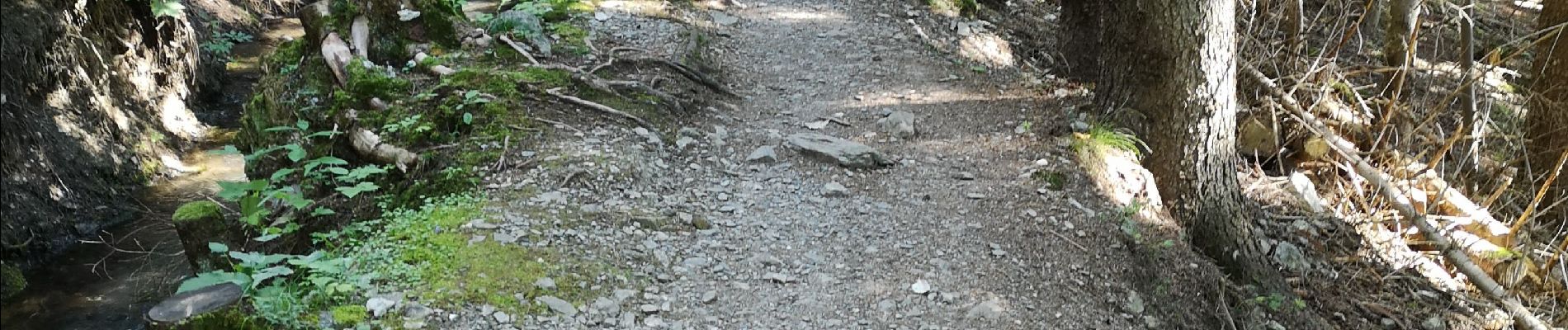 Tour Nordic Walking Ayent - bisse d'Ayen  - Photo