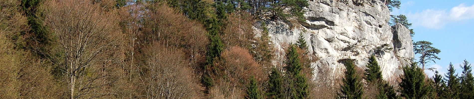 Tocht Te voet Gemeinde Gutenstein - Gutenstein - Purbach (Kasperhof) - Thal - Photo