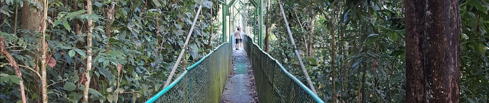 Excursión Senderismo La Virgen - tirimbina  - Photo