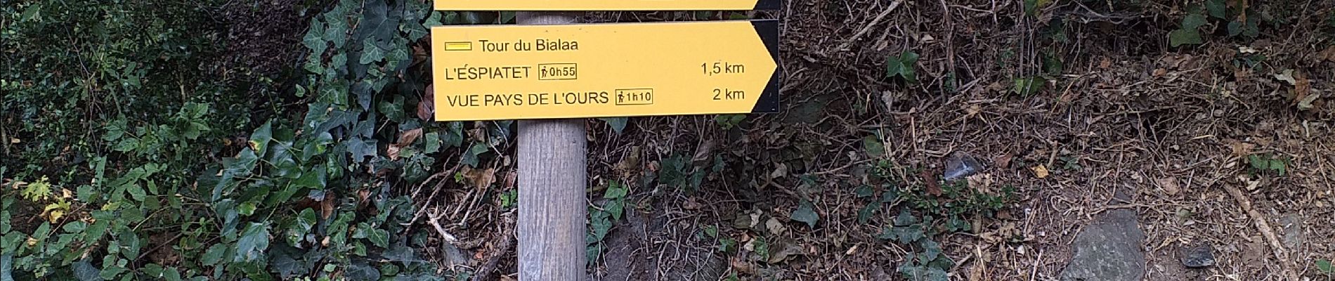 Trail Walking Borce - gr10 de force au col de barrancq - Photo