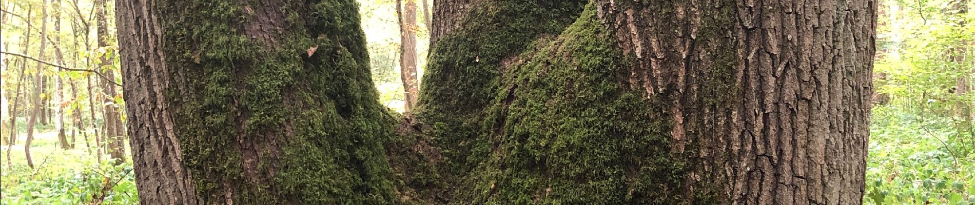 Randonnée Marche Prugny -  Prugny le 13.09.19 (7,5 KMS) - Photo