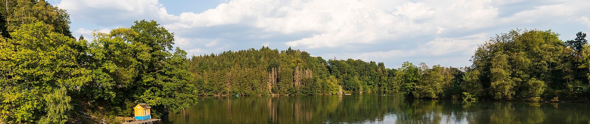 Tocht Te voet Waimes - Barrage : Warche - Walk - Photo