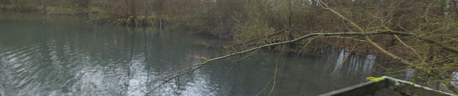 Randonnée Marche Waremme - WACHNET EN HIVER - Photo