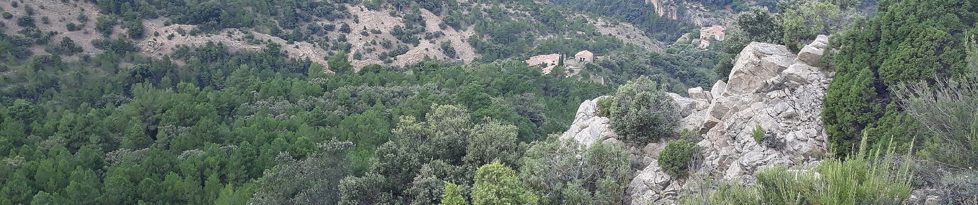 Excursión A pie Vistabella del Maestrazgo - Sant Joan - Sant Joan por Mas de Macén - Photo