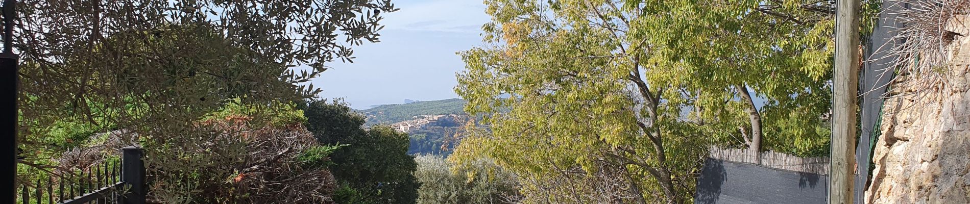 Trail Walking Le Beausset - Le castellet au départ du Beausset - Photo