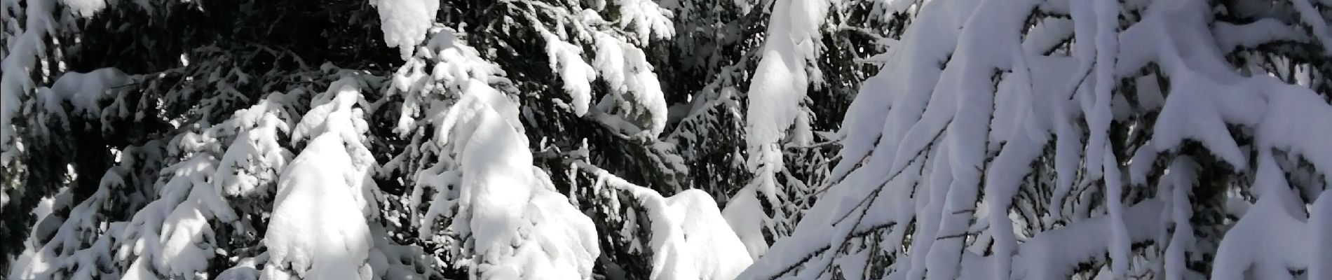 Randonnée Marche nordique Montricher-Albanne - les Karellis  - Photo