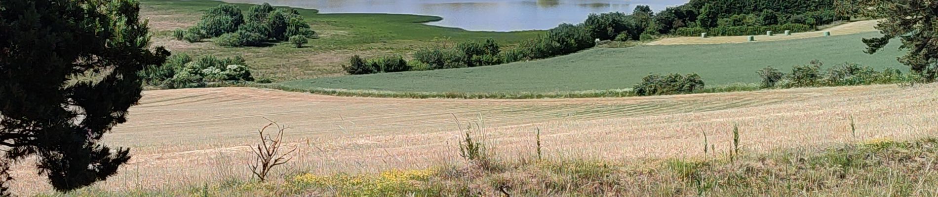 Tocht Stappen Le Monastier-sur-Gazeille - le Bouchet  - Photo