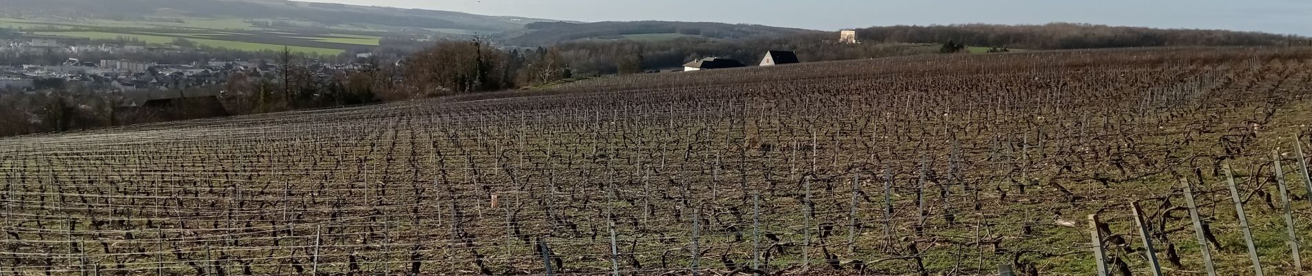 Percorso Marcia Château-Thierry - Les vignes Castelles - version 8 km - Photo