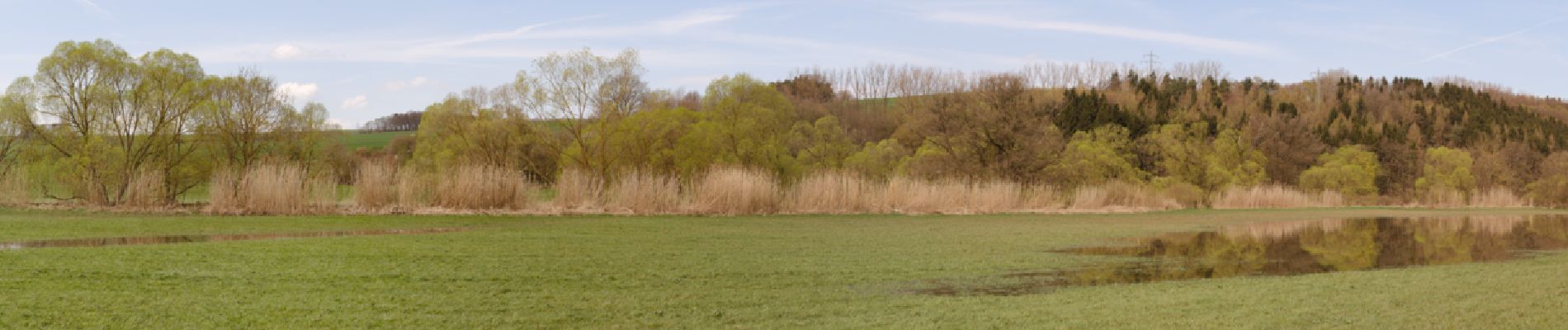 Randonnée A pied Fulde - Fuldaer Rundwanderweg - Photo