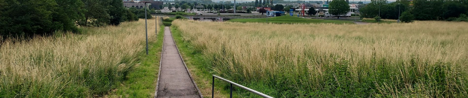 Percorso Bici da strada Saulny - psemecourt - Photo