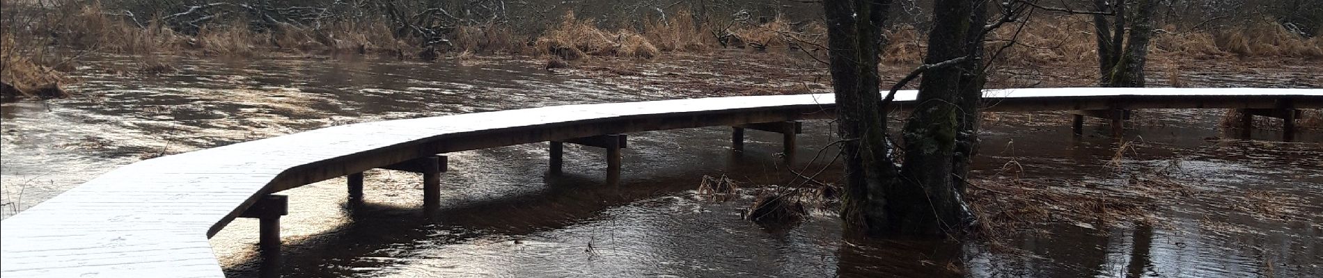 Tour Wandern Martelingen - Pont d'Oye - Photo