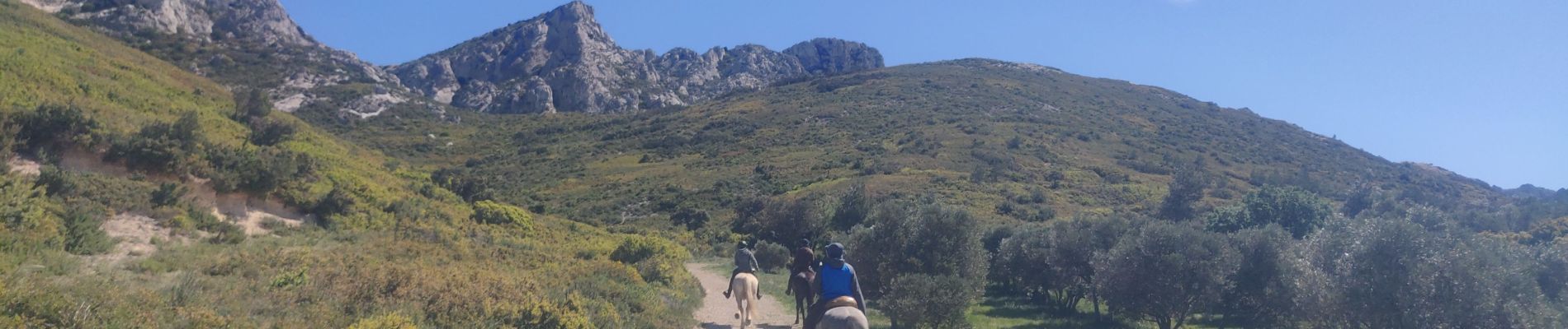 Trail Horseback riding Eygalières - SityTrail - 2019-04-29 Rando CVA Alpilles Eygalieres Mouries - Photo
