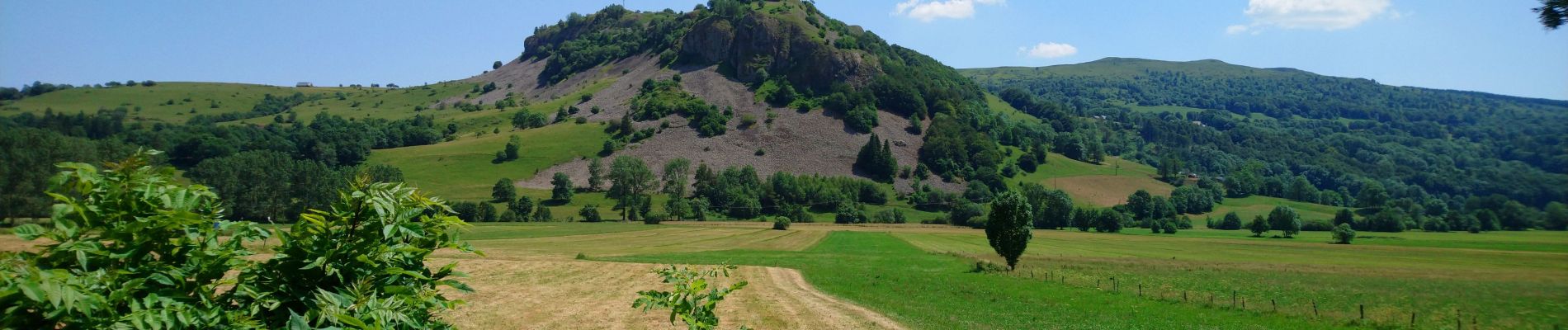 Tocht Stappen Dienne - Cantal - Dienne - Drils et Laqueille - 7.2km 205m 2h50 - 2019 07 05 - Photo