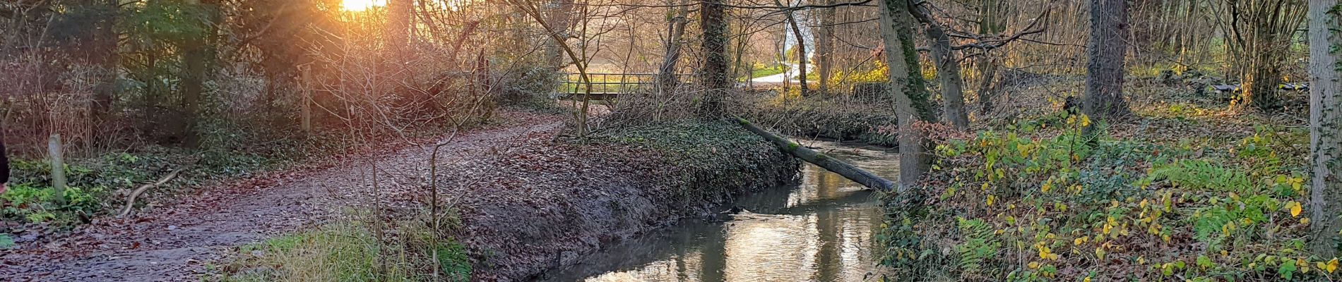 Trail Walking Court-Saint-Étienne - Beaurieux - Court-Saint-Etienne (Pot) - Photo