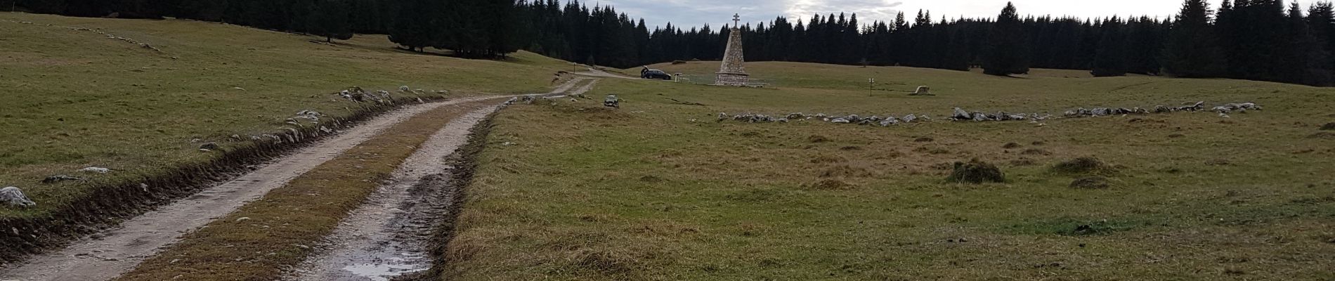 Randonnée Marche Échallon - Forêt d'Echallon, de Belleydoux - Photo