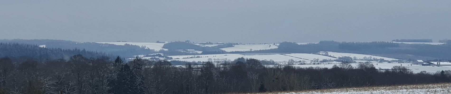 Tour Wandern Havelange - rando nettine 9/02/2021 - Photo