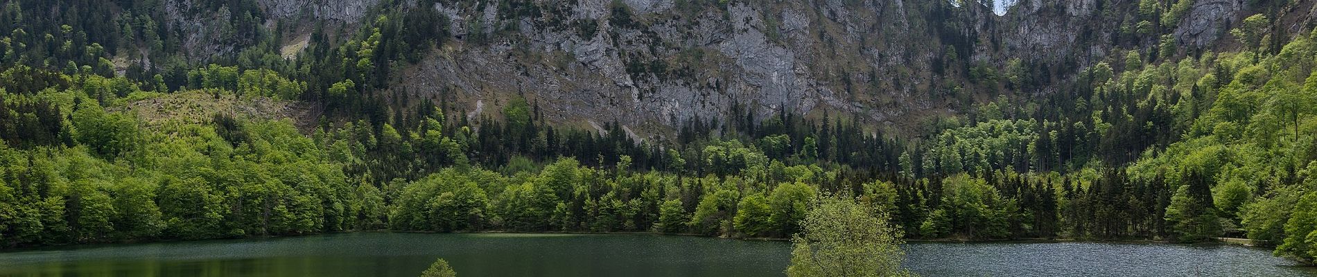 Trail On foot Gmunden - Wanderweg 22 - Photo