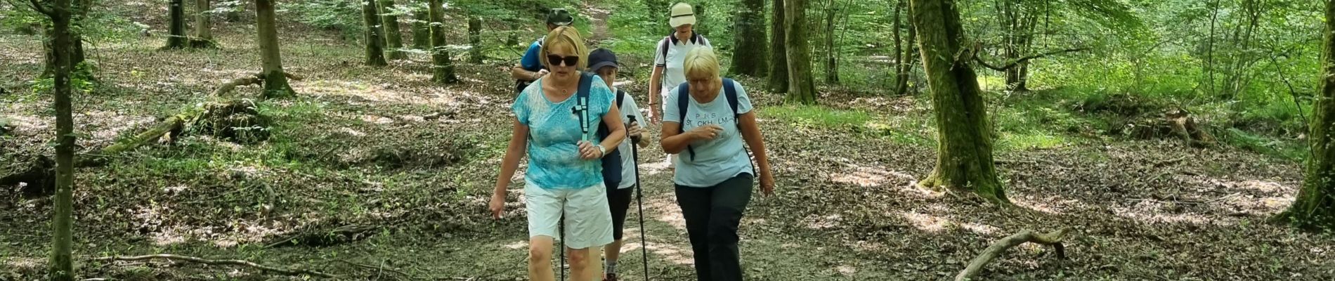 Excursión Senderismo Rambouillet - la tour - Photo