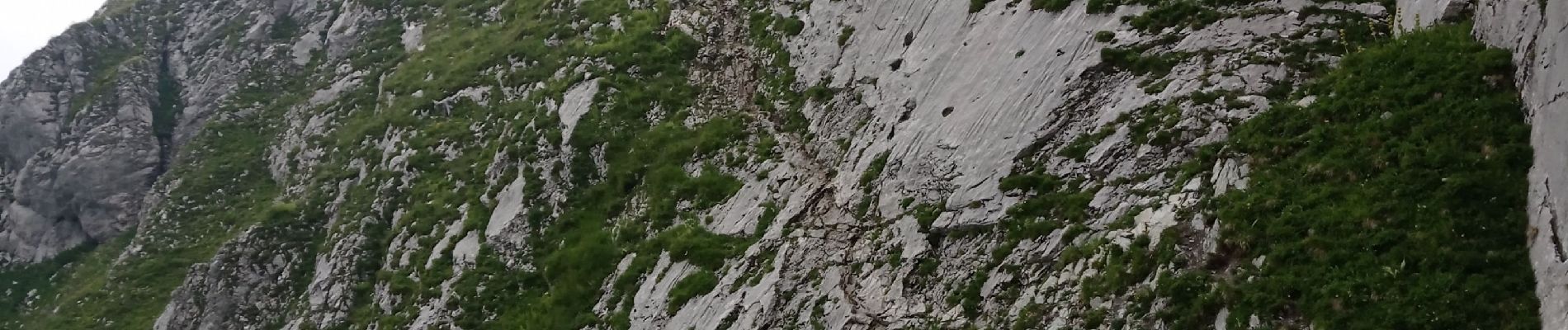 Randonnée Marche Thollon-les-Mémises - 15 juillet - Photo