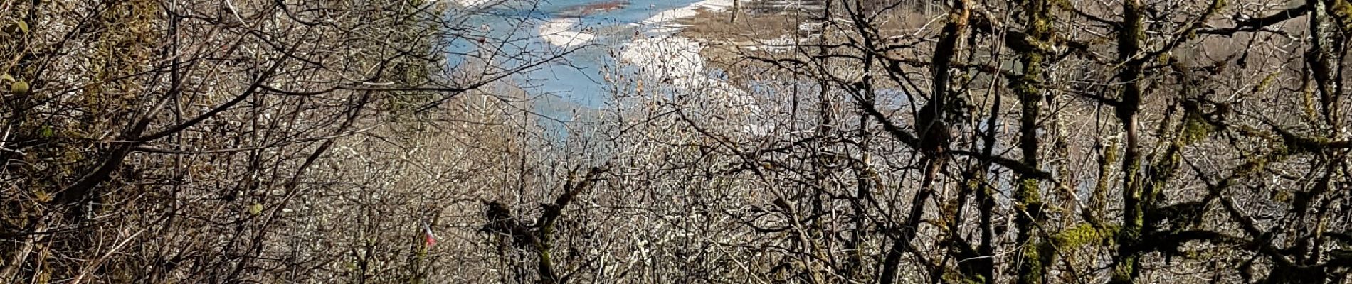 Tour Wandern Lavancia-Epercy - Epercy-Montcusel-cascade-Douvre - Photo