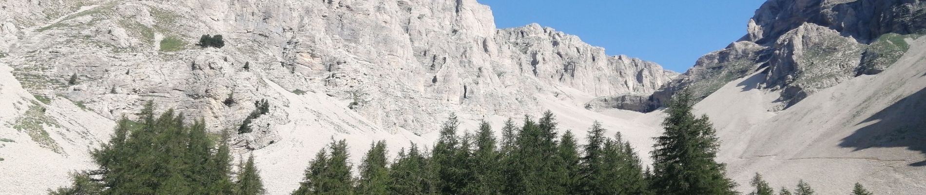 Tocht Stappen Montmaur - Pic de bure - Photo