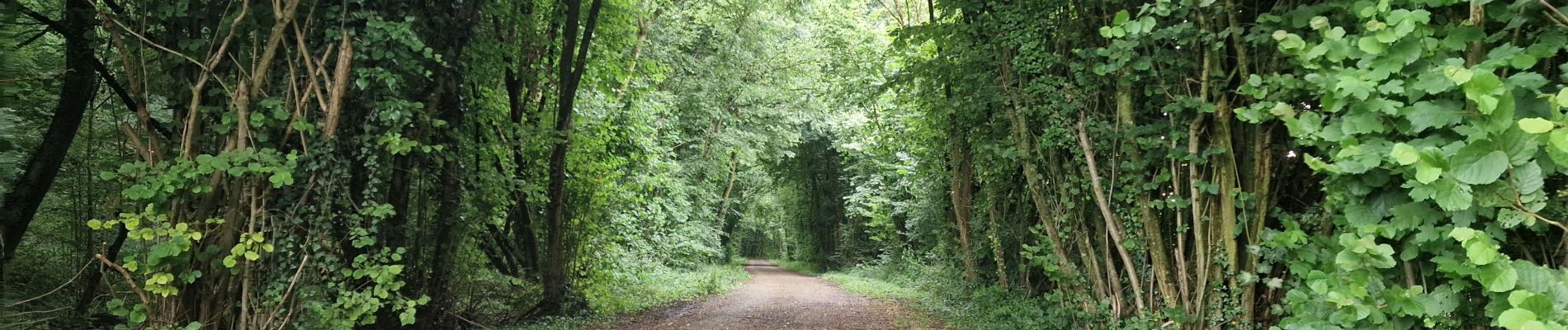 Trail Walking Vadencourt - Vadencourt- Tupigny - Photo