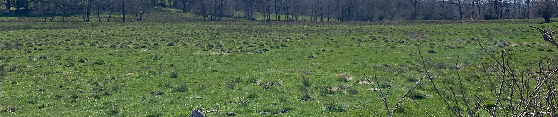 Tour Wandern Laguiole - La Montagnette aubrac laguiolle - Photo