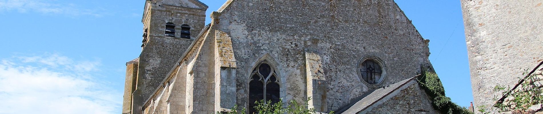 Trail On foot Boissy-le-Sec - Sur les traces de la Renarde - Photo