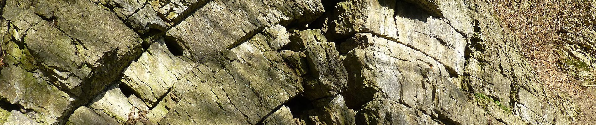 Percorso A piedi Velbert - Naturfreundeweg Tönisheide - Holzerbachtal - Photo