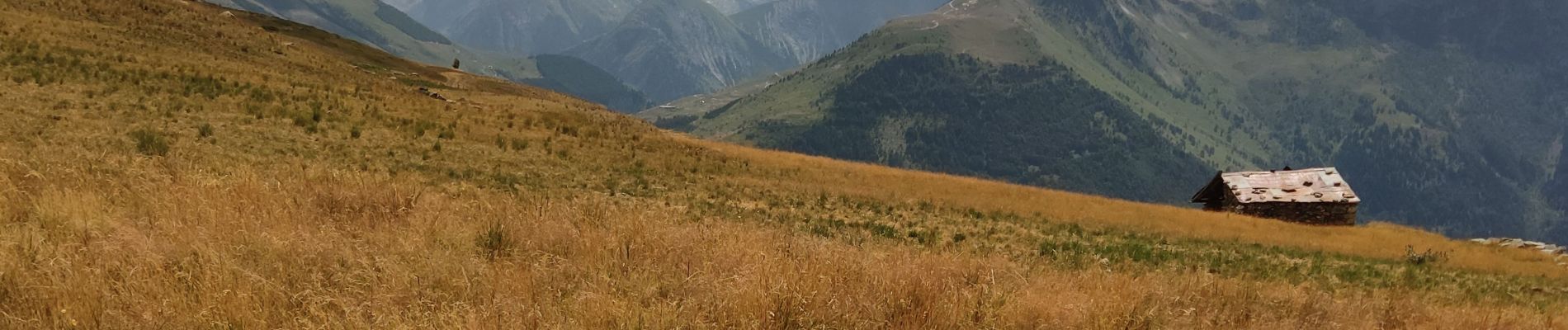 Trail Walking La Garde - Oisans 2019 : Vallon de Sarenne et montagne de l'homme.ori - Photo