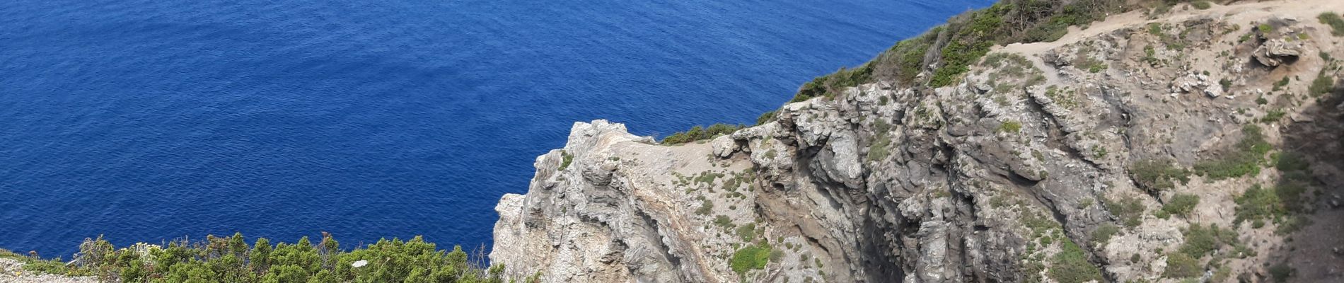 Tocht Stappen Hyères - Presqu'île Giens ouest (partie extrême) - Photo