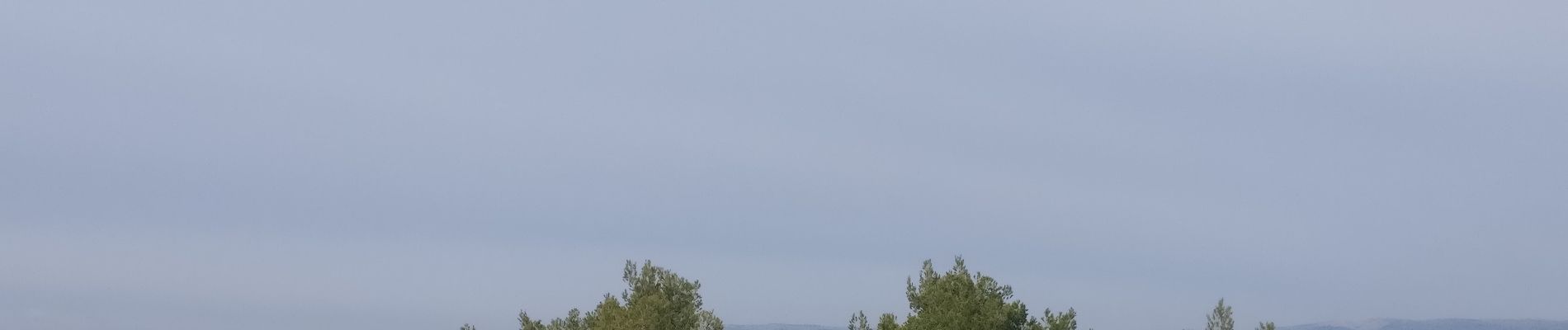 Tocht Noords wandelen Toulon - château vallon  - Photo