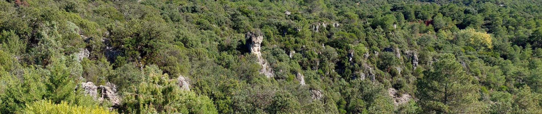 Trail Walking Carlencas-et-Levas - Carlencas  - Photo